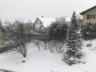 Neige.jpg