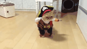 9D660AE3-D059-4B7D-B0CB-DD81A6250C43.gif